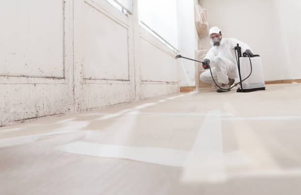 24/7 Emergency Attic Mold Removal experts in Blain, PA